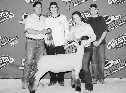Amberlie Davis exhibited the 9th Place Medium Wool Sheep at the San Antonio Stock Show.