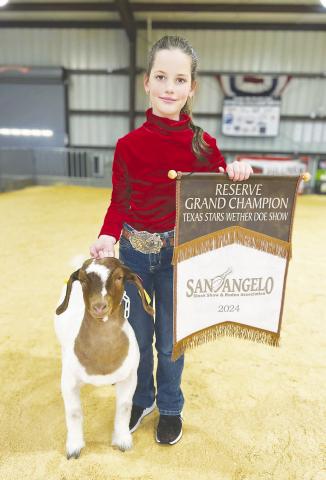 Hayzen Halfmann exhibited the DII Reserve Champion Goat at the San Angelo Stock Show.