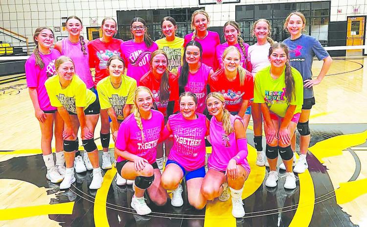 The Grady Lady Wildcats varsity and junior varsity volleyball teams opened the season on Tuesday with wins over Ira.