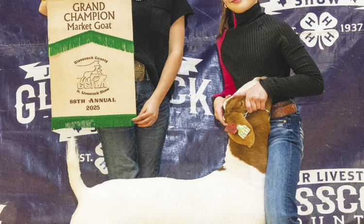 Grand Champion Goat Hayzen Halfmann