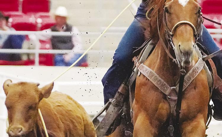 Tarzan graduate Jessi Everett wins national title at College National Finals Rodeo
