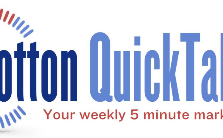 Cotton Quick Take