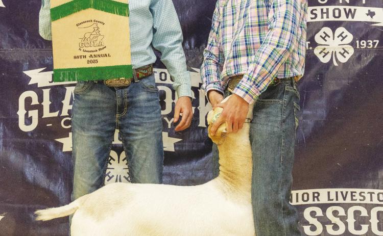 Reserve Champion Goat Miles Halfmann